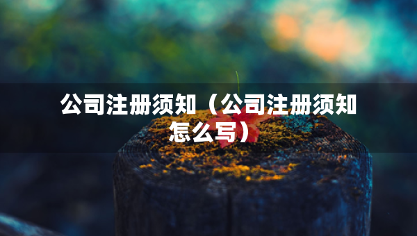 公司注册须知（公司注册须知怎么写）