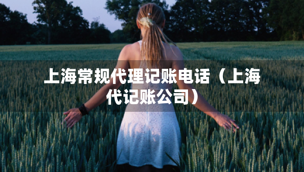 上海常规代理记账电话（上海代记账公司）