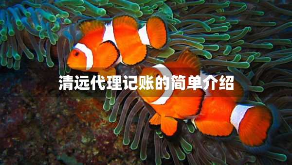 清远代理记账的简单介绍