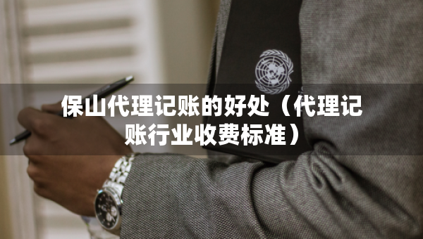 保山代理记账的好处（代理记账行业收费标准）