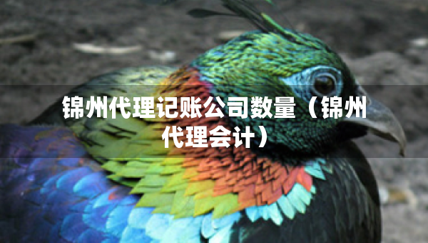 锦州代理记账公司数量（锦州代理会计）