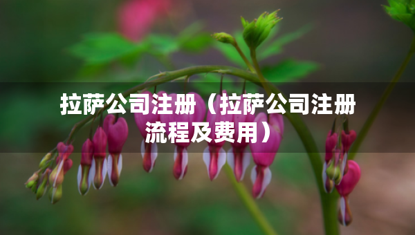 拉萨公司注册（拉萨公司注册流程及费用）