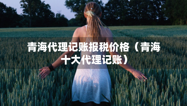 青海代理记账报税价格（青海十大代理记账）