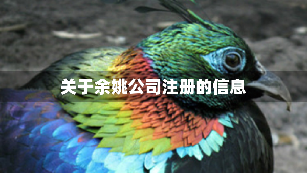 关于余姚公司注册的信息
