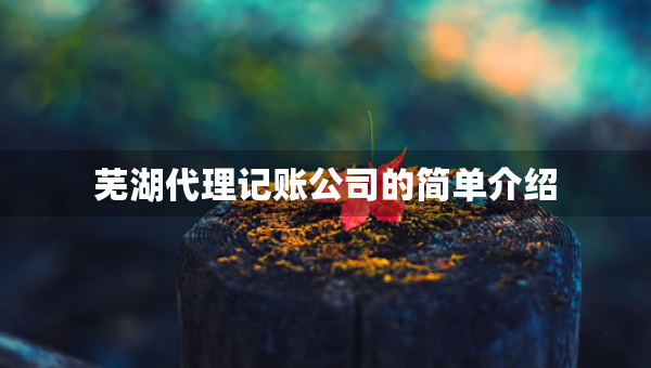 芜湖代理记账公司的简单介绍