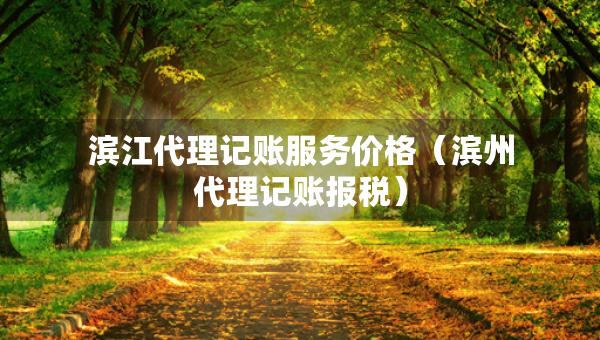 滨江代理记账服务价格（滨州代理记账报税）