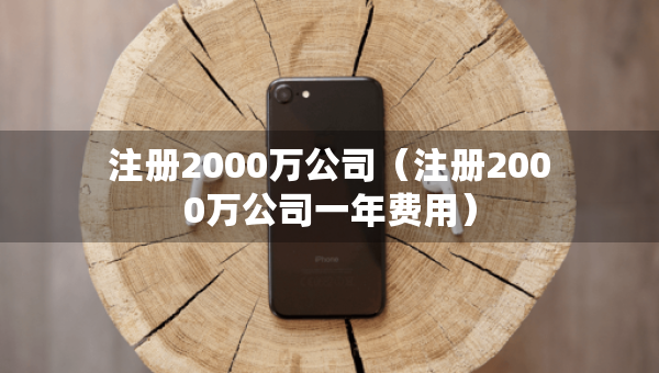 注册2000万公司（注册2000万公司一年费用）
