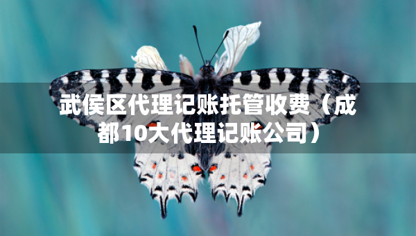 武侯区代理记账托管收费（成都10大代理记账公司）