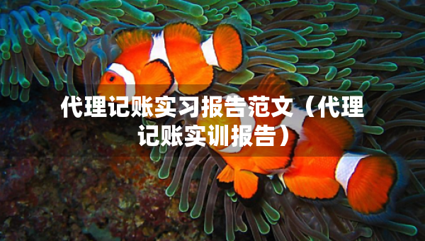 代理记账实习报告范文（代理记账实训报告）