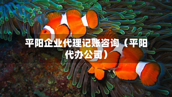 平阳企业代理记账咨询（平阳代办公司）