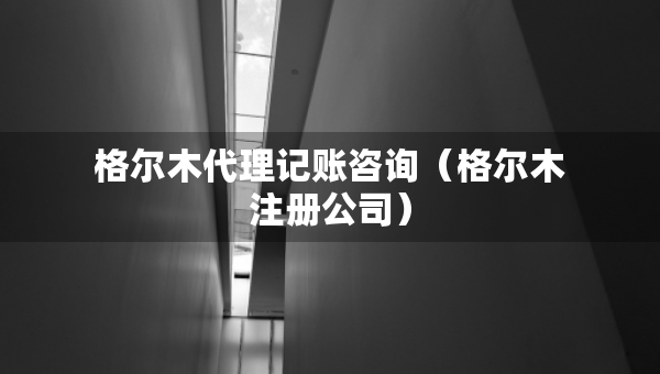 格尔木代理记账咨询（格尔木注册公司）