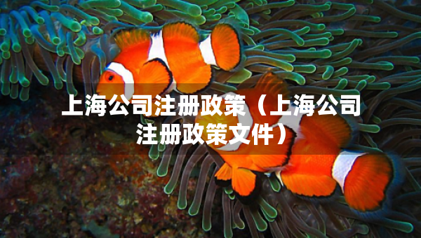 上海公司注册政策（上海公司注册政策文件）