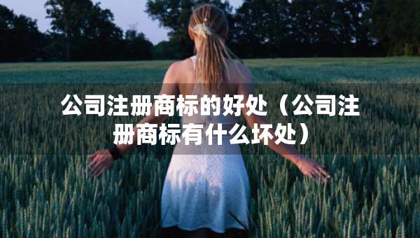 公司注册商标的好处（公司注册商标有什么坏处）