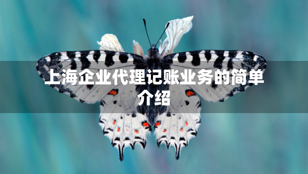 上海企业代理记账业务的简单介绍
