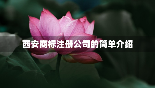 西安商标注册公司的简单介绍