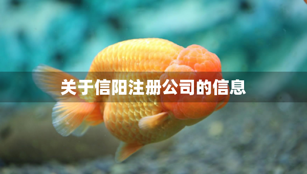 关于信阳注册公司的信息