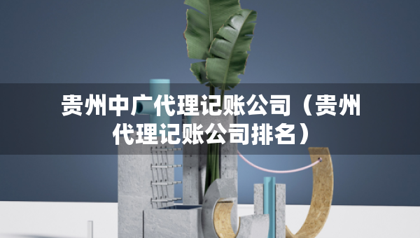 贵州中广代理记账公司（贵州代理记账公司排名）