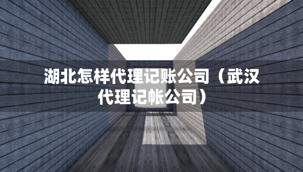 湖北怎样代理记账公司（武汉代理记帐公司）
