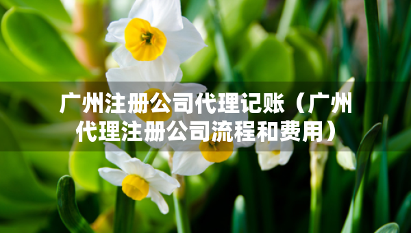 广州注册公司代理记账（广州代理注册公司流程和费用）