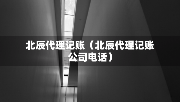 北辰代理记账（北辰代理记账公司电话）