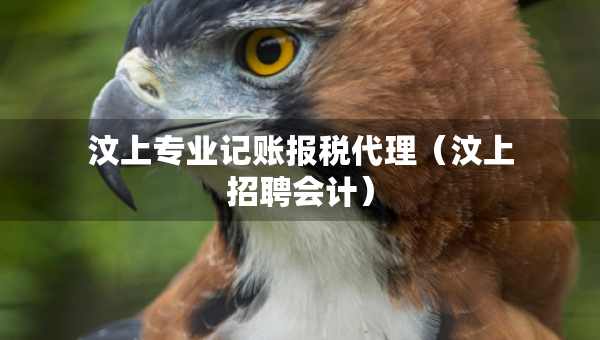 汶上专业记账报税代理（汶上招聘会计）