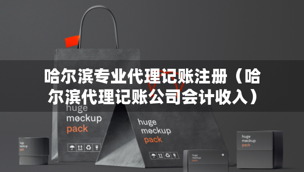 哈尔滨专业代理记账注册（哈尔滨代理记账公司会计收入）
