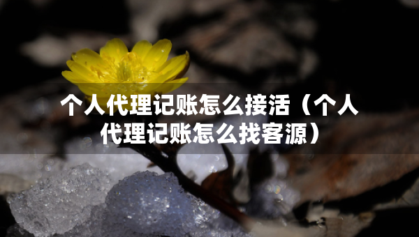 个人代理记账怎么接活（个人代理记账怎么找客源）