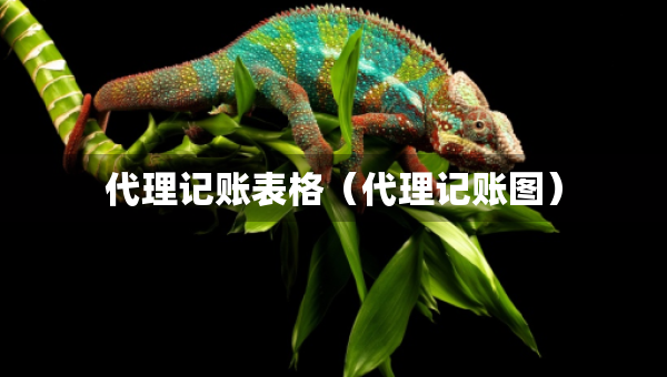 代理记账表格（代理记账图）