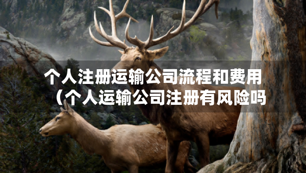 个人注册运输公司流程和费用（个人运输公司注册有风险吗）