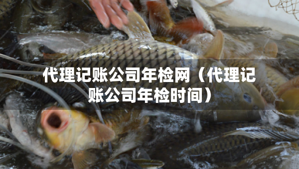 代理记账公司年检网（代理记账公司年检时间）