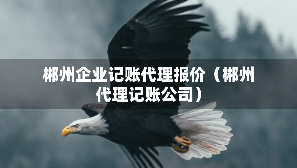 郴州企业记账代理报价（郴州代理记账公司）
