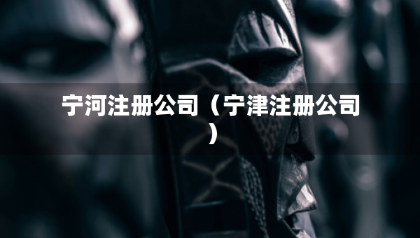 宁河注册公司（宁津注册公司）