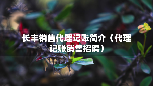 长丰销售代理记账简介（代理记账销售招聘）