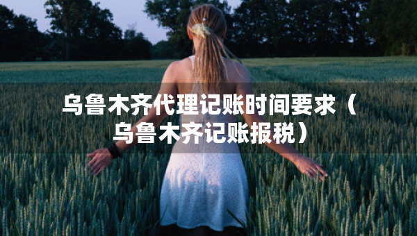 乌鲁木齐代理记账时间要求（乌鲁木齐记账报税）
