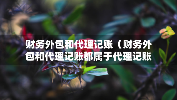 财务外包和代理记账（财务外包和代理记账都属于代理记账公司检查内容吗）