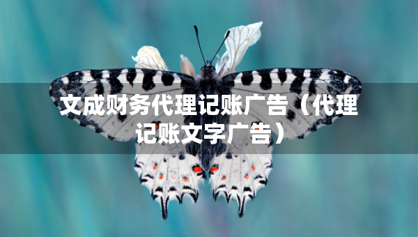 文成财务代理记账广告（代理记账文字广告）