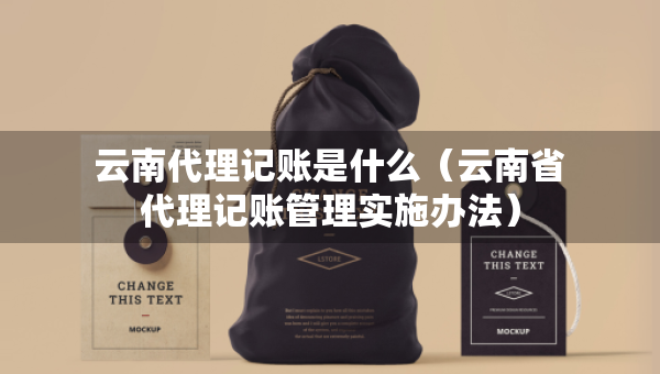 云南代理记账是什么（云南省代理记账管理实施办法）