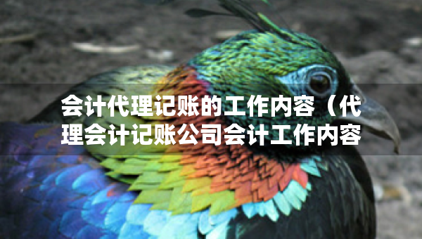 会计代理记账的工作内容（代理会计记账公司会计工作内容）