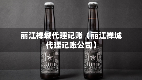 丽江禅城代理记账（丽江禅城代理记账公司）