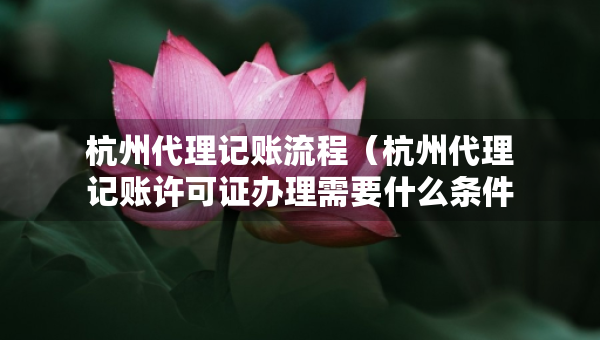 杭州代理记账流程（杭州代理记账许可证办理需要什么条件）