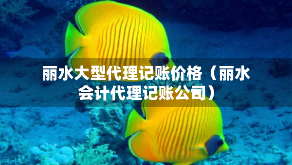 丽水大型代理记账价格（丽水会计代理记账公司）