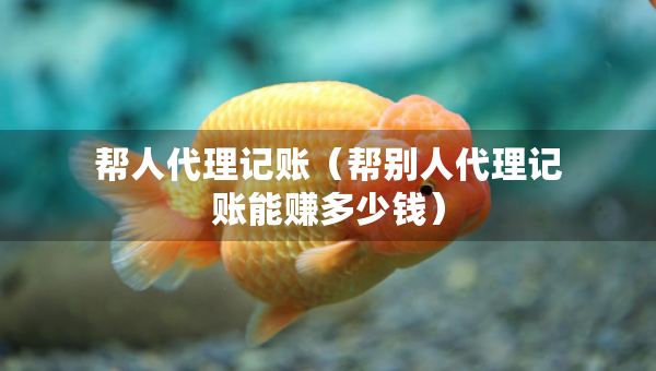 帮人代理记账（帮别人代理记账能赚多少钱）