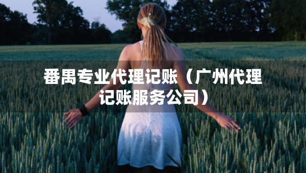 番禺专业代理记账（广州代理记账服务公司）