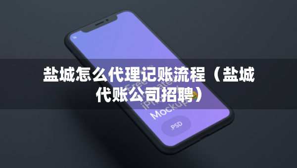 盐城怎么代理记账流程（盐城代账公司招聘）