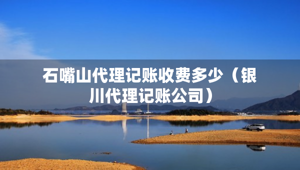 石嘴山代理记账收费多少（银川代理记账公司）