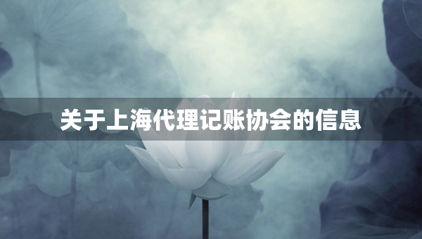 关于上海代理记账协会的信息