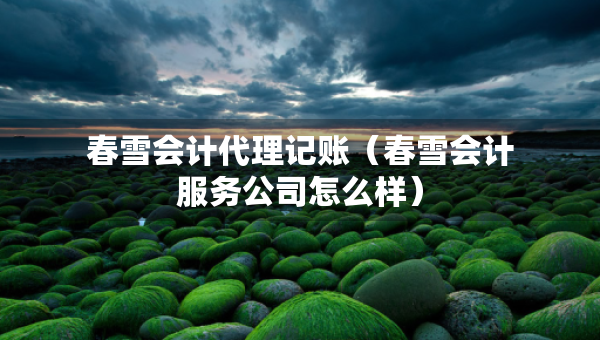 春雪会计代理记账（春雪会计服务公司怎么样）