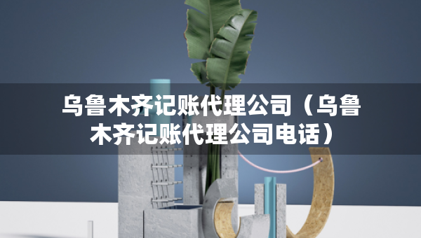 乌鲁木齐记账代理公司（乌鲁木齐记账代理公司电话）