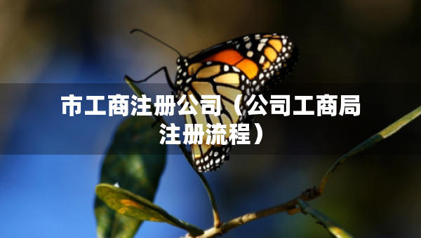 市工商注册公司（公司工商局注册流程）
