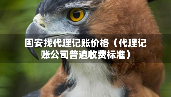 固安找代理记账价格（代理记账公司普遍收费标准）